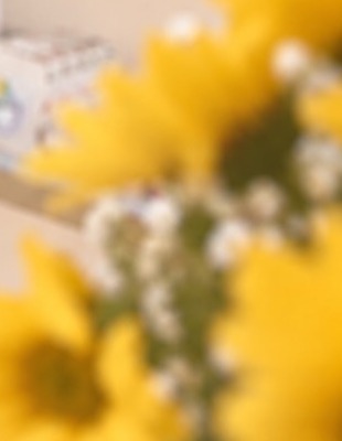 Girasoles frente a los estantes de la tienda